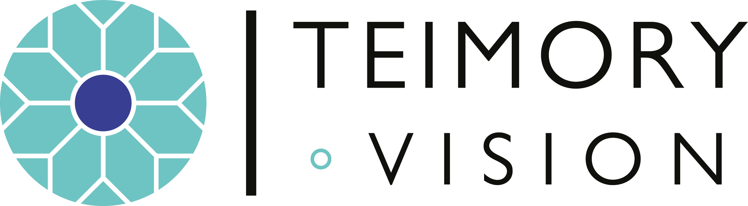 TEIMORY.VISION Logo - High Res - CMYK - PNG